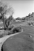 Golf Photos