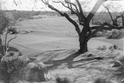 Golf Photos